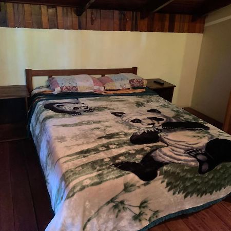 Litt Iguazu Hostal Puerto Iguazú Eksteriør billede